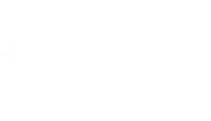 Dillo API Communication Platform - Logo